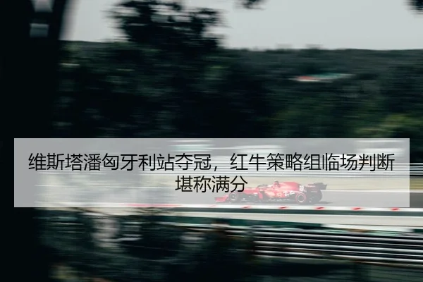 wei-si-ta-pan-xiong-ya-li-zhan-duo-guan-hong-niu-ce-lve-zu-lin-chang-pan-duan-kan-cheng-man-fen-2-356.jpg