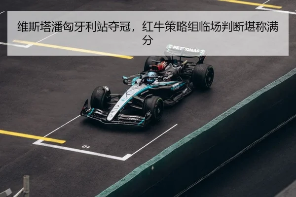wei-si-ta-pan-xiong-ya-li-zhan-duo-guan-hong-niu-ce-lve-zu-lin-chang-pan-duan-kan-cheng-man-fen-3-426.jpg