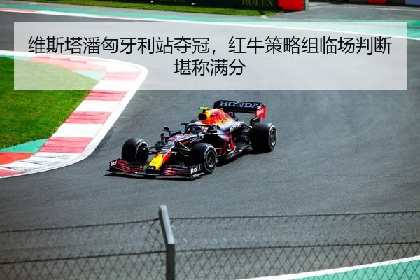 wei-si-ta-pan-xiong-ya-li-zhan-duo-guan-hong-niu-ce-lve-zu-lin-chang-pan-duan-kan-cheng-man-fen-1-544.jpg