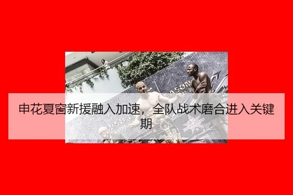 申花夏窗新援融入加速，全队战术磨合进入关键期