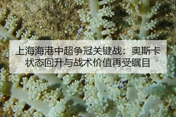上海海港中超争冠关键战：奥斯卡状态回升与战术价值再受瞩目