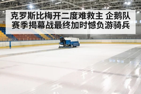 hockey rink arena